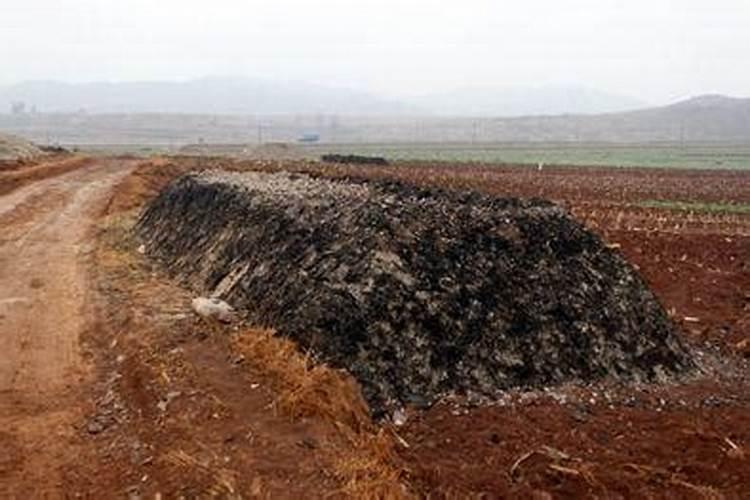农家肥怎么发酵腐熟