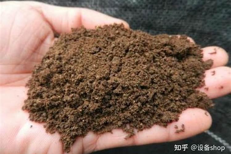 黄豆做肥料最快的方法 家庭自制有机肥发酵方法大全