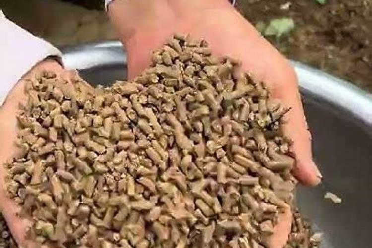 芝麻饼肥和花生饼肥哪个好？