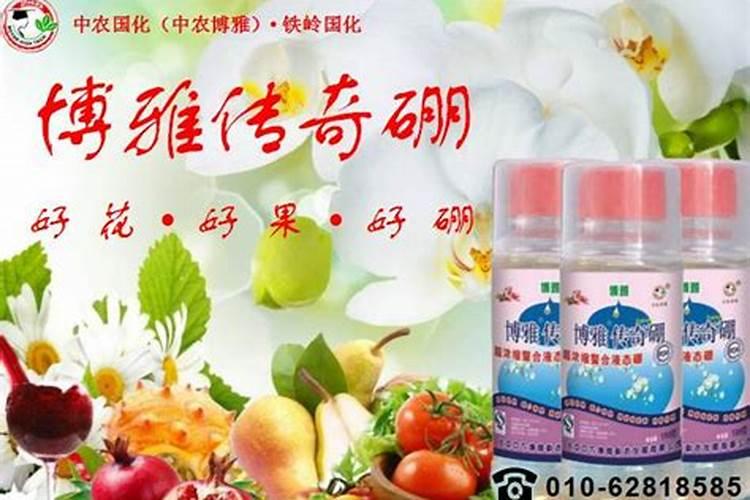 杏树喷施硼肥最佳时间？