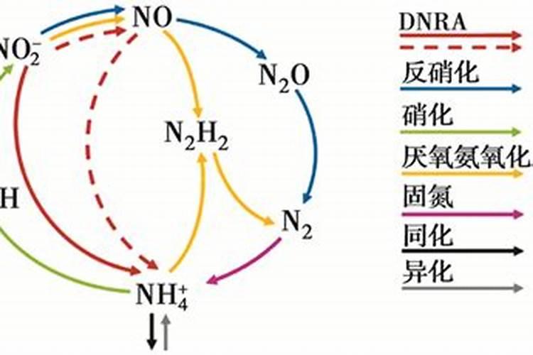 硝酸盐是什么肥料