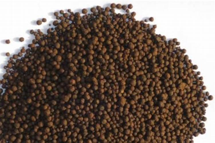 红菜苔最忌什么肥料