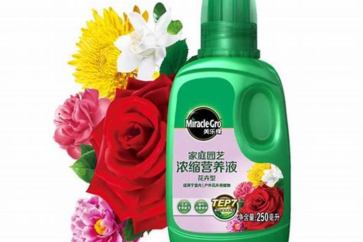 各种花怎么浇水,浇什么水好  自制万能花肥营养液