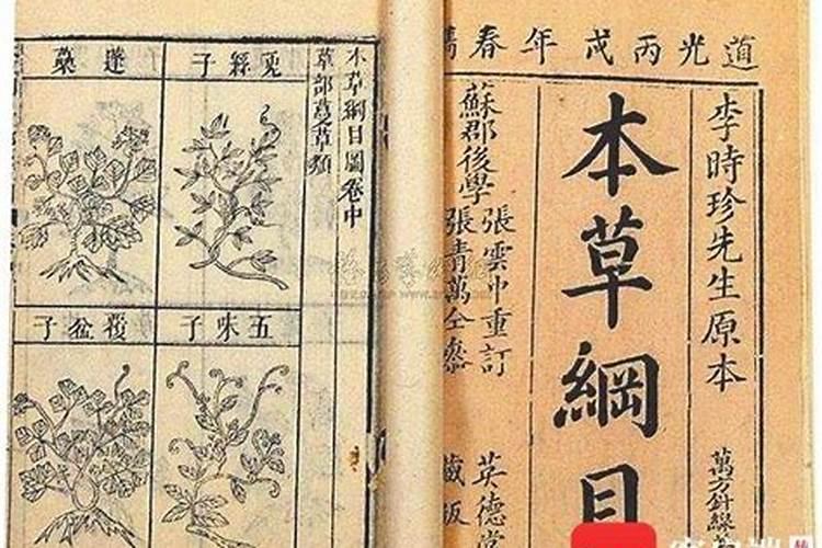 霍山石斛有哪些功效？