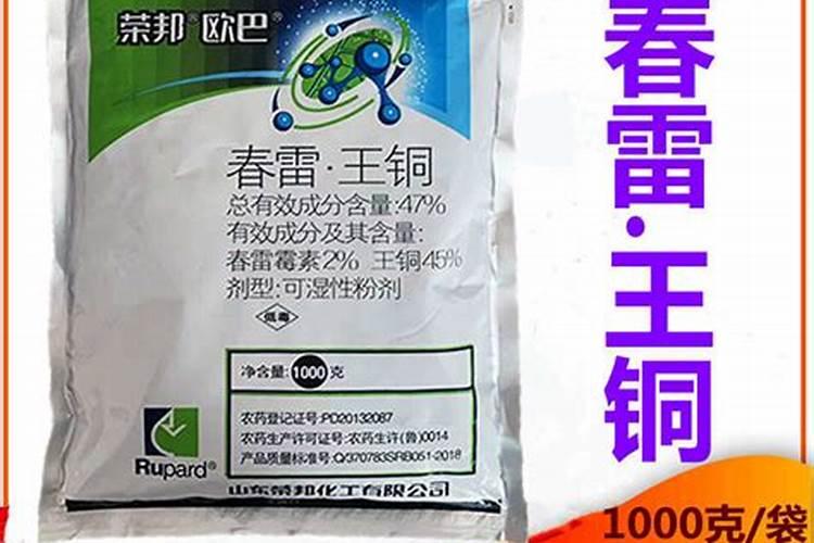 茄子俗称的掉蛋是什么病引起的