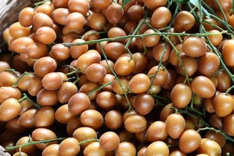 多效锌肥哪里有卖的啊