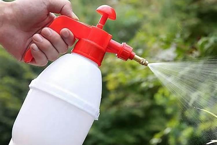 喷雾噐喷多肉植物用那一种比较好用