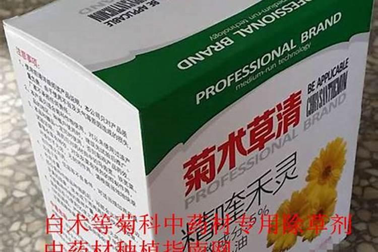 白术刚浇了水就又下了一天中雨,