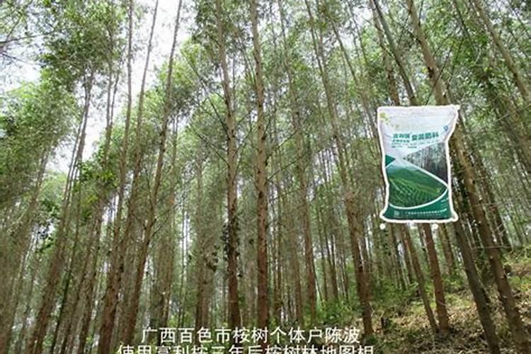 扦插生根剂哪个牌子好