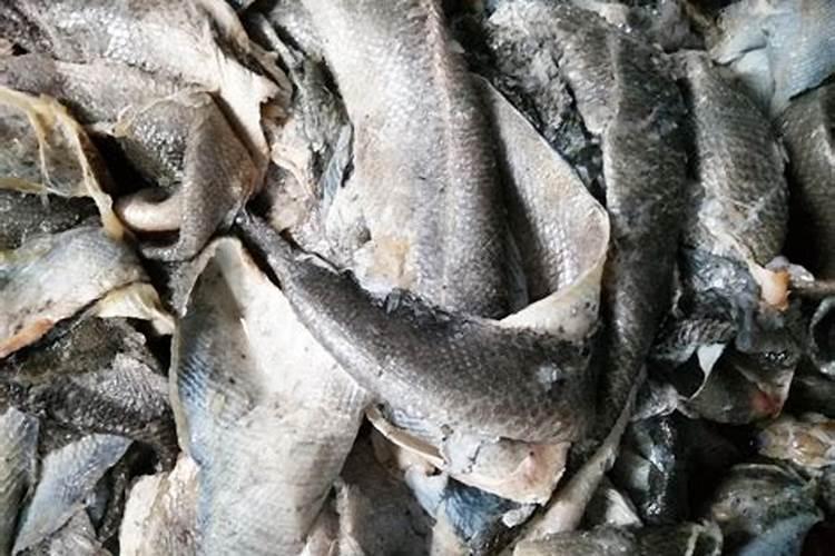 鱼蛋白在葡萄上色期可以使用吗