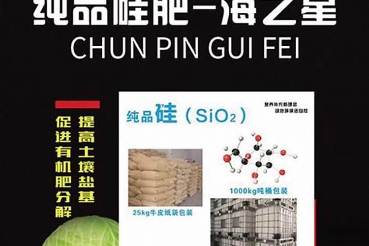 硅肥对作物的主要作用是什么？怎样科学施用？