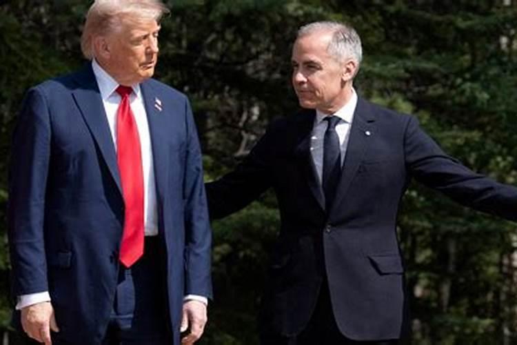 26种化肥微量元素的字母是？