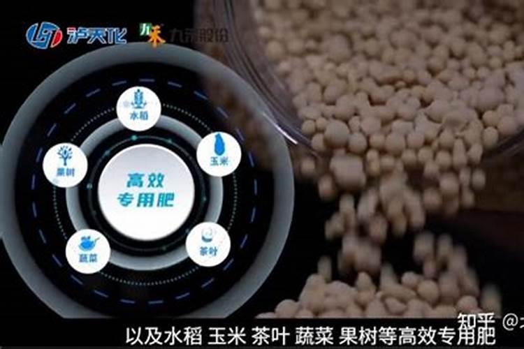 家庭阳台种植韭菜的方法(自家阳台种韭菜长得又肥又壮)