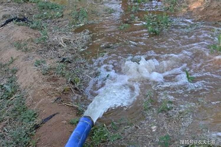 水溶肥灌根使用方法