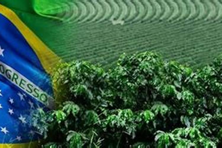 全球性粮食危机对中国企业和股民来说,有哪些机会？