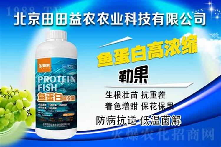 鱼蛋白对作物有哪些作用？