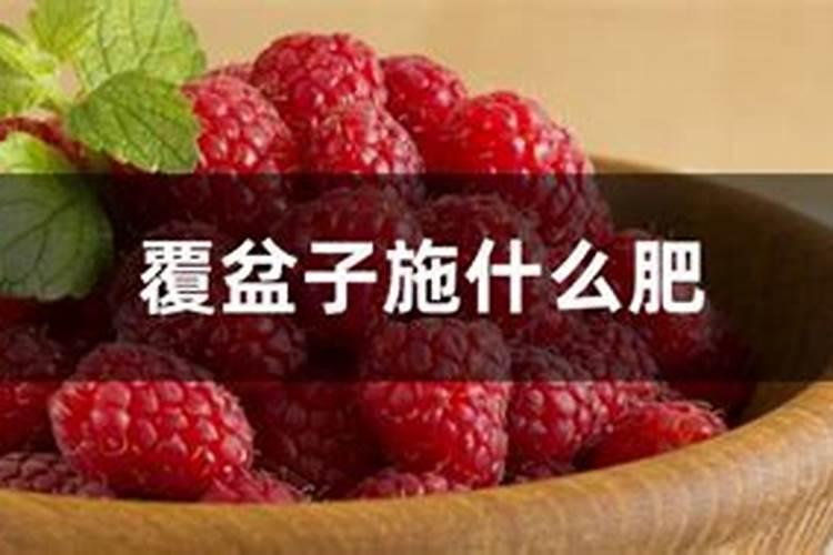 覆盆子怎么种植