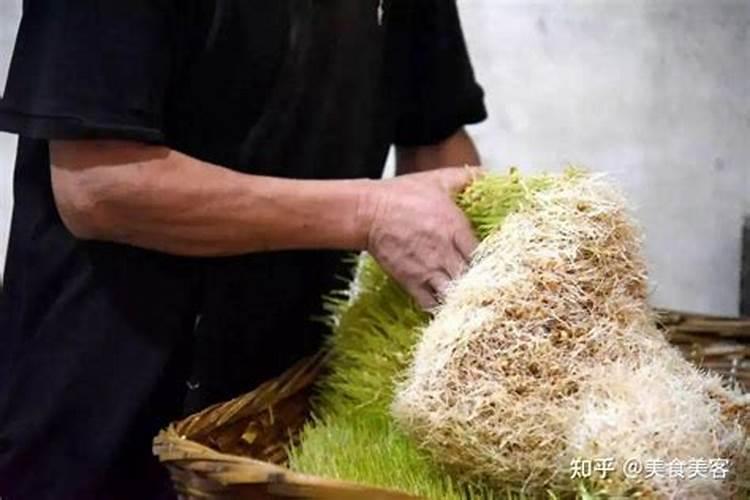 麦子什么时候打营养药