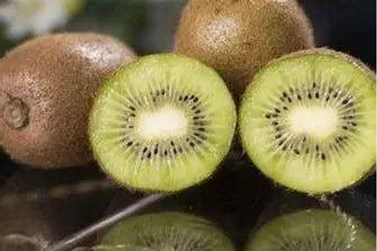 猕猴桃怎么种植方法和管理