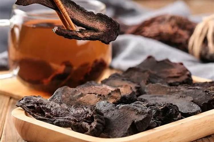 肉苁蓉施什么肥