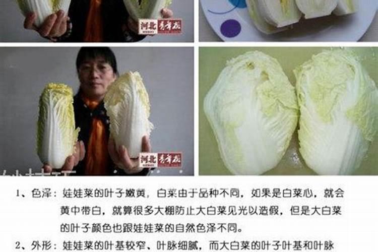 娃娃菜发黑还能吃吗