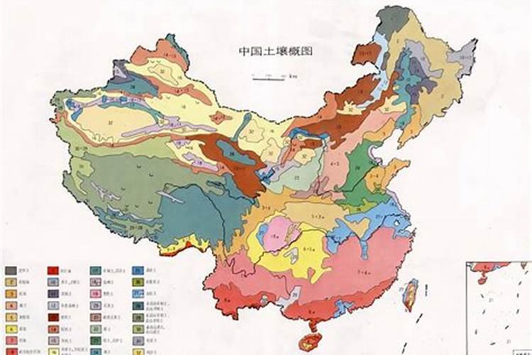 镁肥有那些种类？怎样施用？