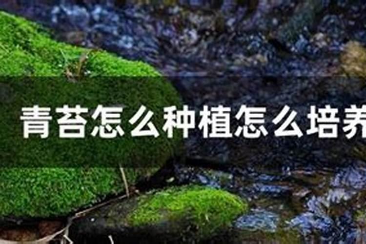 四川共泰农业 养殖南美白对虾水质管理