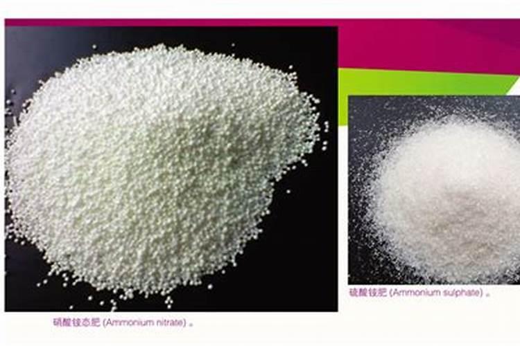 硝酸铵是氮肥吗