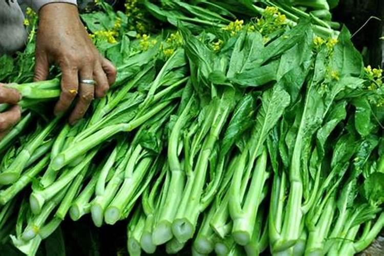 怎么辨别肥料真假 肥料怎么辨别真假