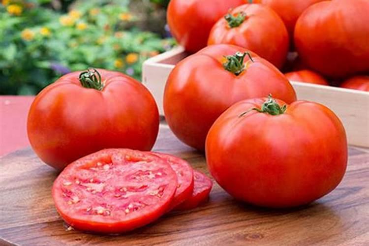 西红柿需要什么肥才能长得大