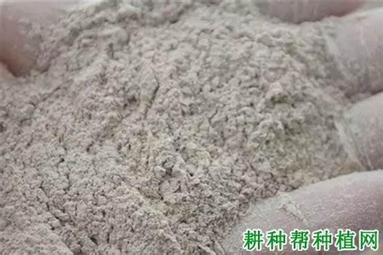 堆肥用过磷酸钙还是骨粉更好