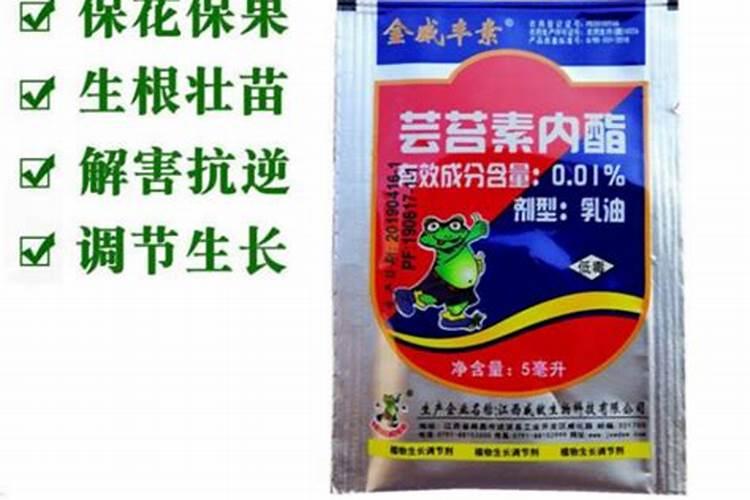 番茄什么时候追肥最合适