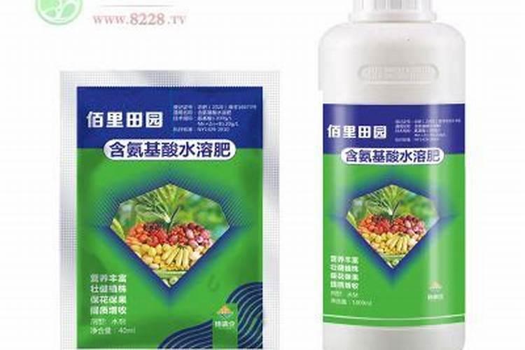 菠菜秋天什么时候种植,种植程序是怎么样？