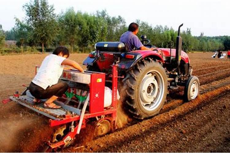 秸秆大包夏季如何保存不发霉 秸秆包夏天怎么放