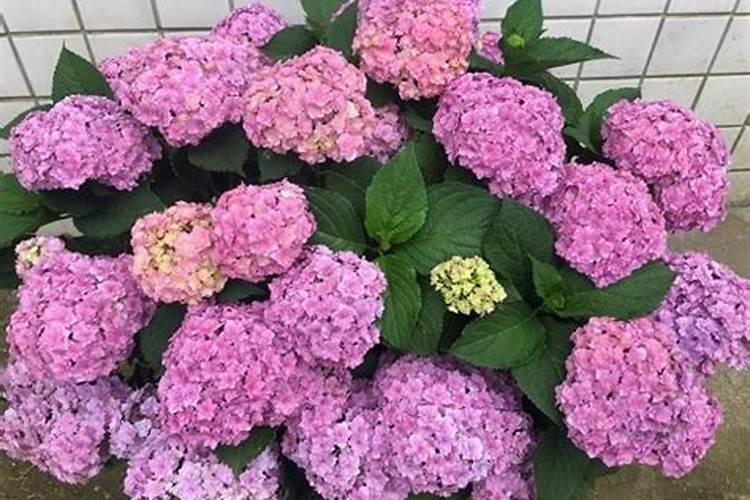 粉剂水溶肥生产线设备产品特性