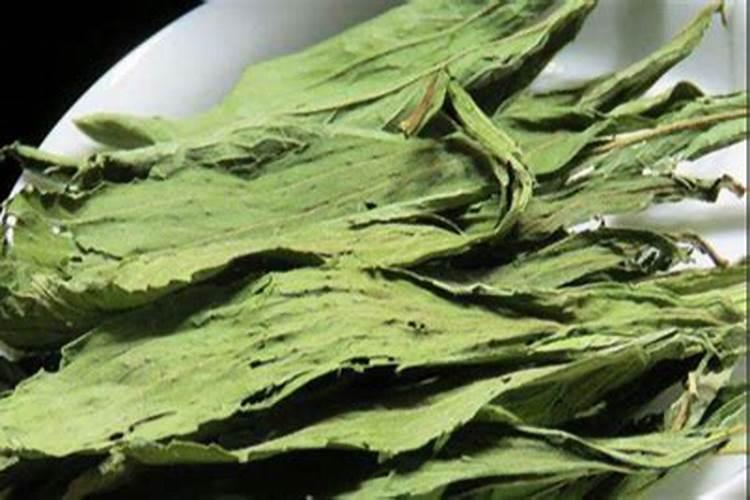 甜叶菊要怎么采收加工？