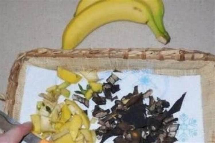 霉烂桔子 能做肥料吗？