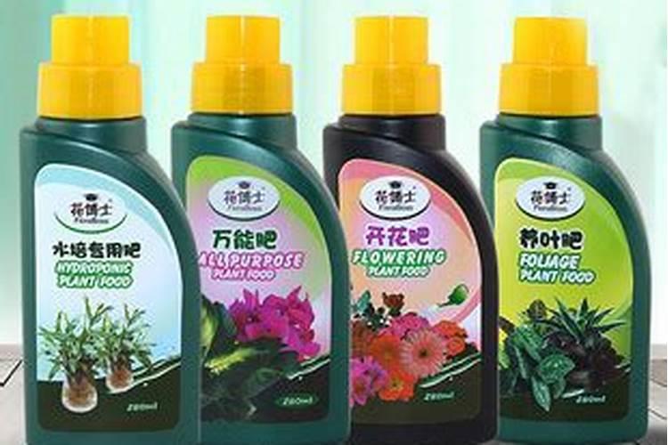 花树用什么肥料比较好