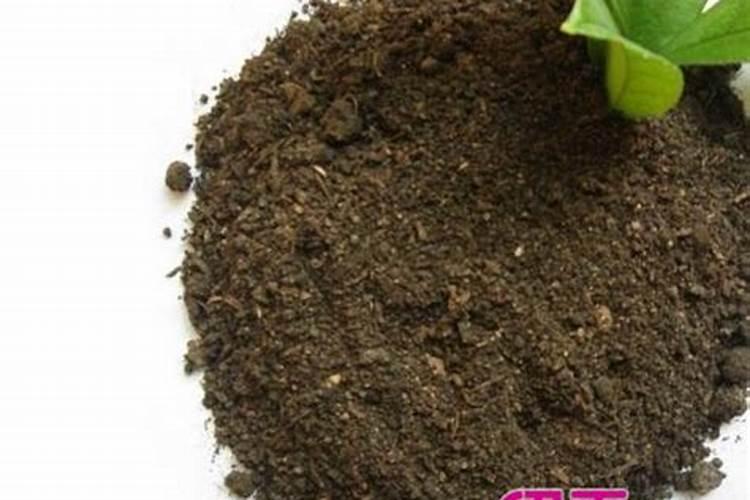 农用的复合肥可以种花树吗 种地的复合肥能给花用吗