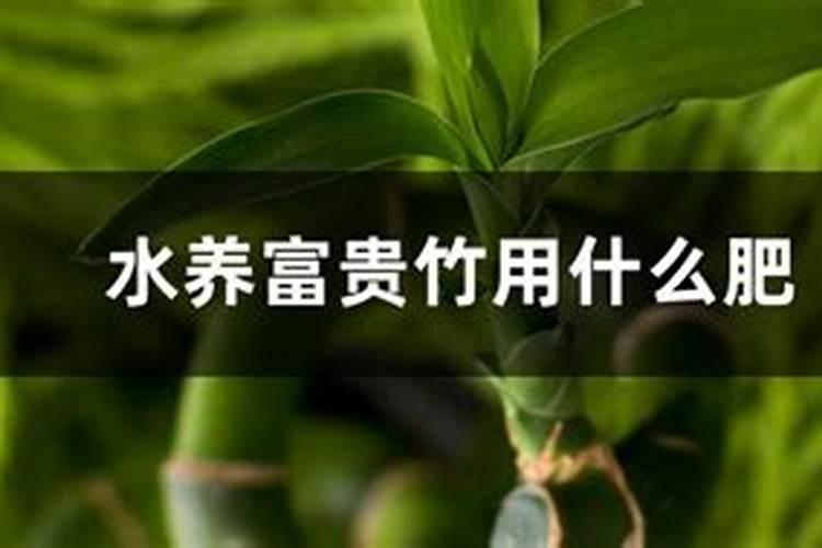 生产水溶肥需要办理哪些证件手续合法