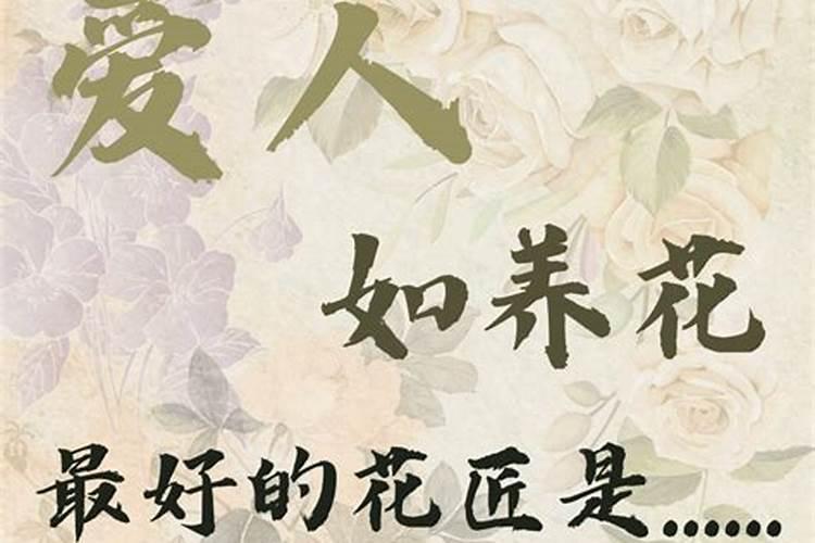 绿萝用什么肥料施肥