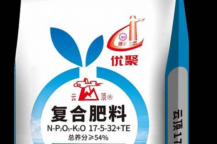 构树施什么肥比较合适？构树优质高产生态种植技术方案!