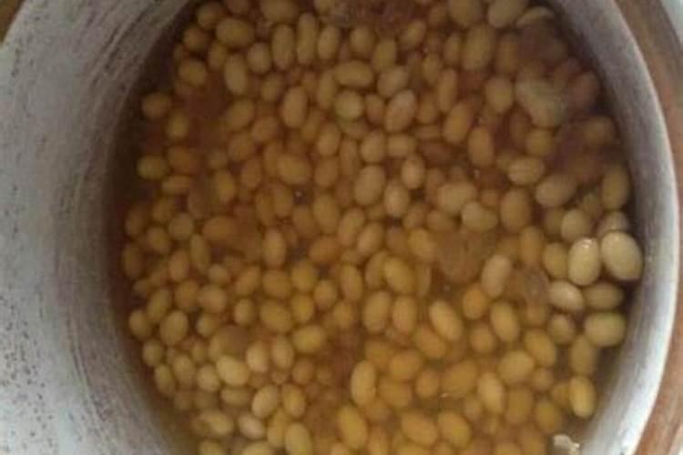 黄豆泡水是什么肥多久可以浇花