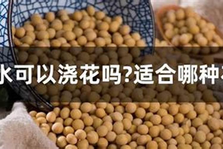 黄豆水是氮肥还是磷肥