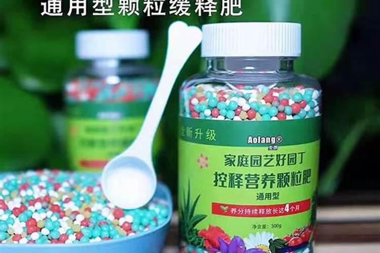 当推荐你用水溶肥时,你该选择液体肥还是颗粒肥呢？