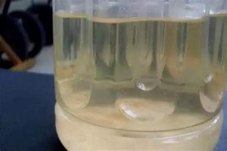 种红薯最忌三种肥料