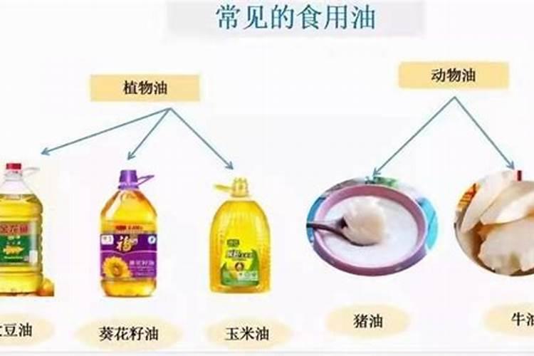 熬炼动物油用途