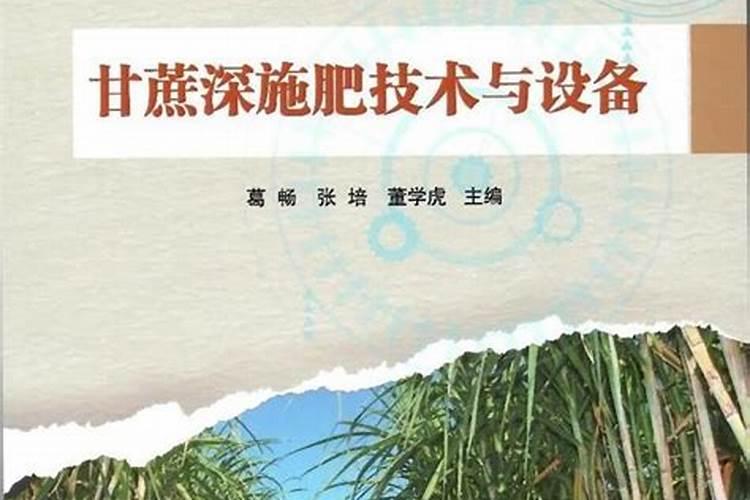 甘蔗施什么肥易长高长粗