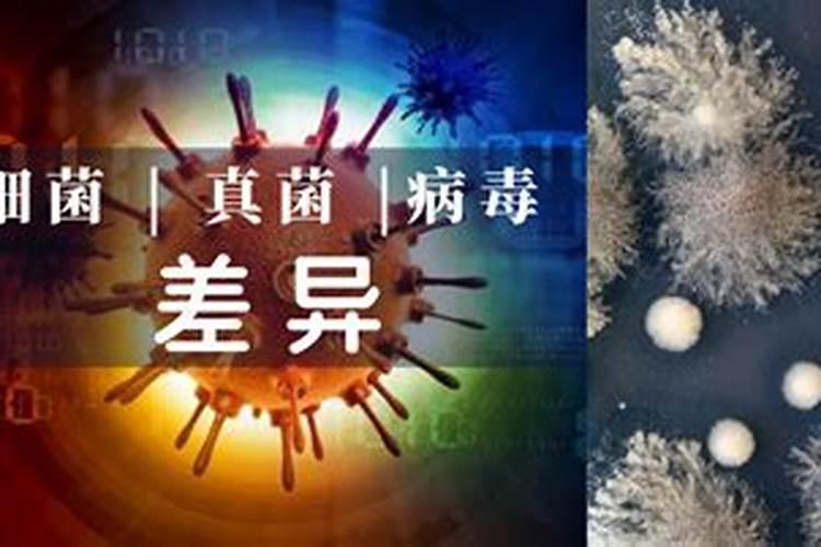 中药材使用叶面肥的好处有哪些,中药材使用叶面肥的注意事项!