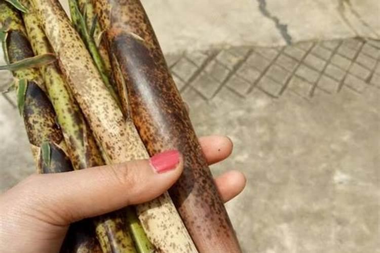 大量元素 名词解释